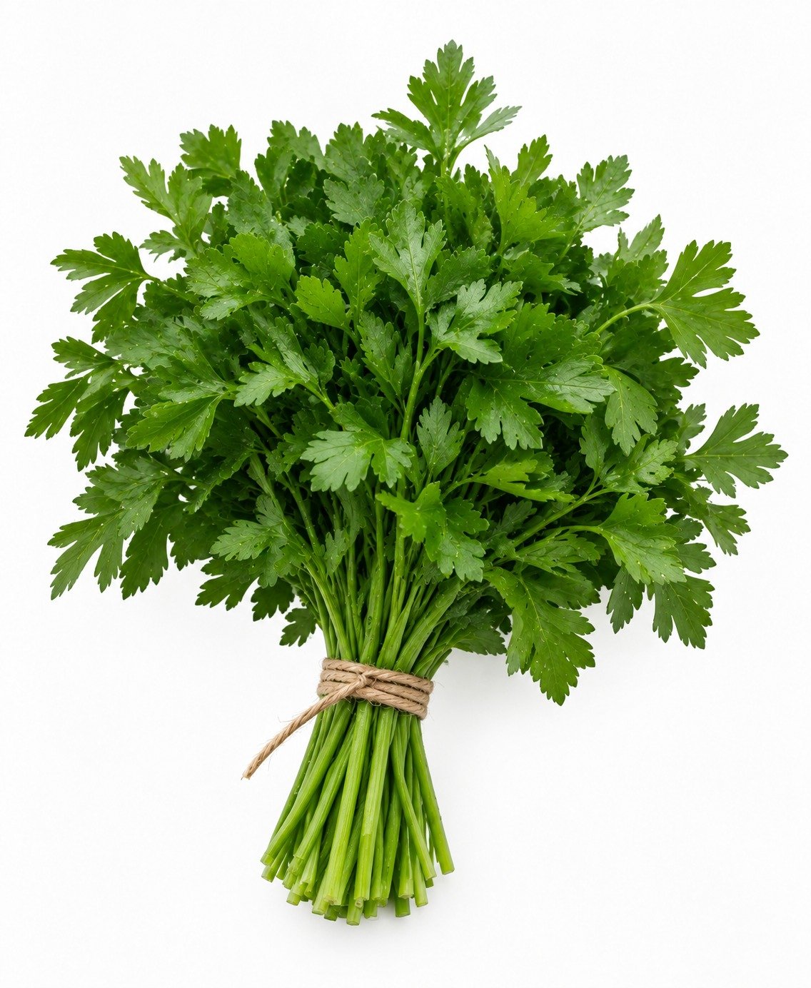 Persil plat